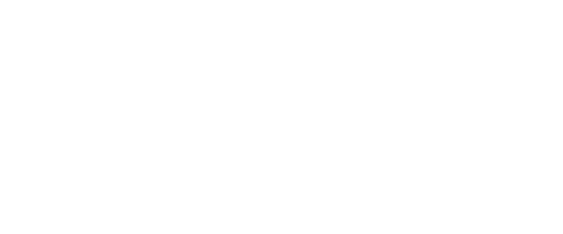 Logo: Paladyn